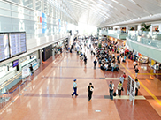 サムネイル写真